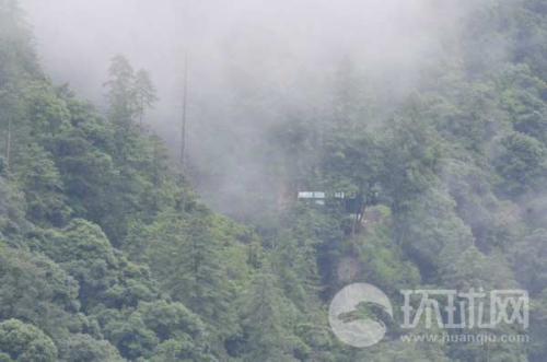 ��ӡ߅����ӡ܊���(b��o)վ���[��ԭʼɭ������