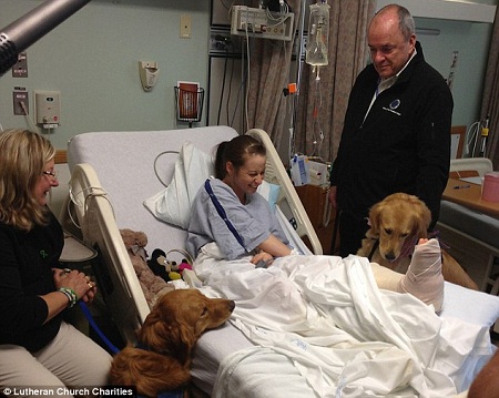 ��ëȮ�鲨ʿ�D��ը��?j��ng)��ߎ�ȥ�g��(l��)