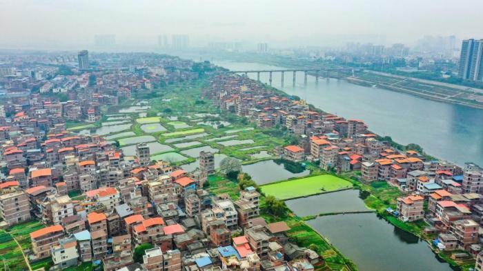 廣西梧州：生態蔬菜基地春意盎然