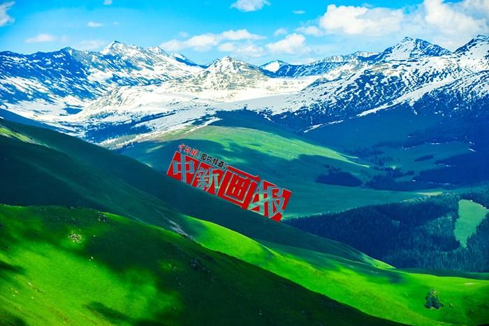 將夏天的“綠” 裝進屏幕里，一組護眼壁紙請查收！