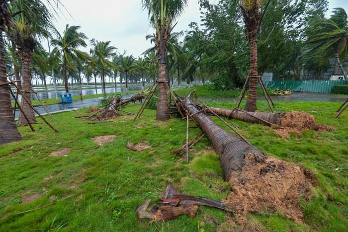 強臺風“麥德姆”攜強風雨影響?？?>
     <p>強臺風“麥德姆”攜強風雨影響?？?/p>
</a><a href=