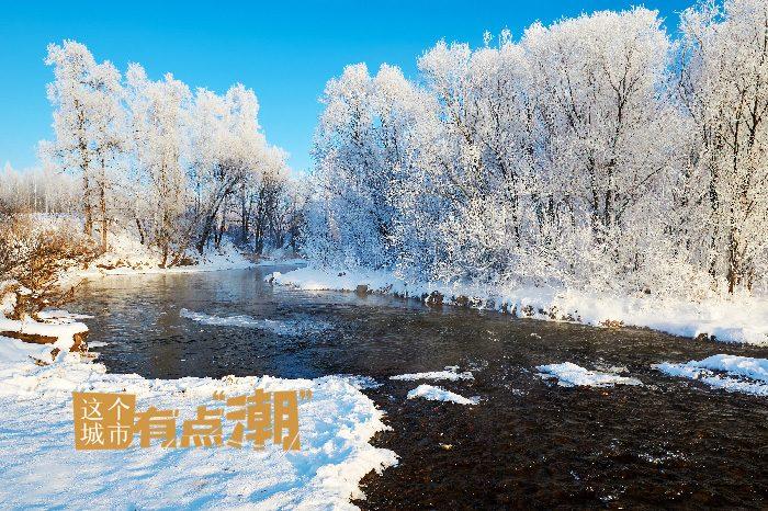 “中國林都”里藏著一封冬日情書