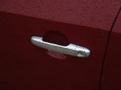 �w�Forte�����