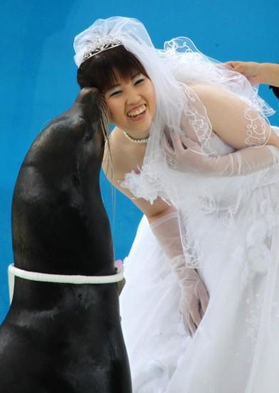 �M�D��һ���׺��������˳䮔���ɰ���