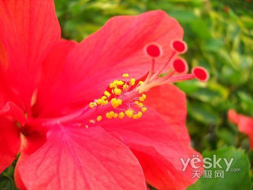 ����߀��Ϧꖼt ʮһ�����������C�xُ���]