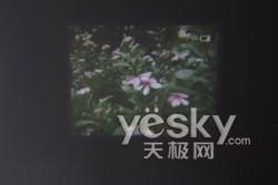 ��D�錦��ǰ���҈D�錦����