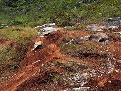 G 500�I㕡���ԇ�{���YȫϵSUV܇�� ��܇֮��