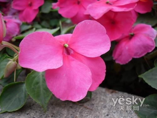 ̫��С��ƽ����� �����L����(sh��)�a���C(j��)���]