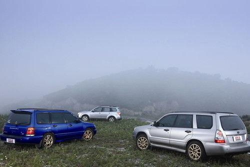 �u�Нu�h(yu��n)�Ĺ�·�Ӱ 3��ɭ���ˌ�(du��)�Ȝy(c��)ԇ