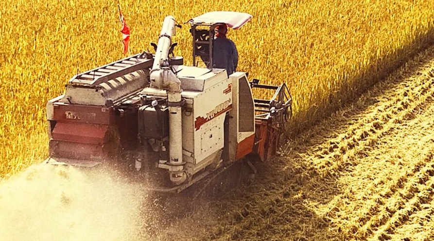 “察實情、辦實事、求實效”，這十句話，振奮人心！