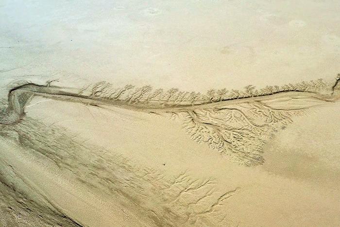 內(nèi)蒙古戈壁上現(xiàn)浮雕版“胡楊樹”