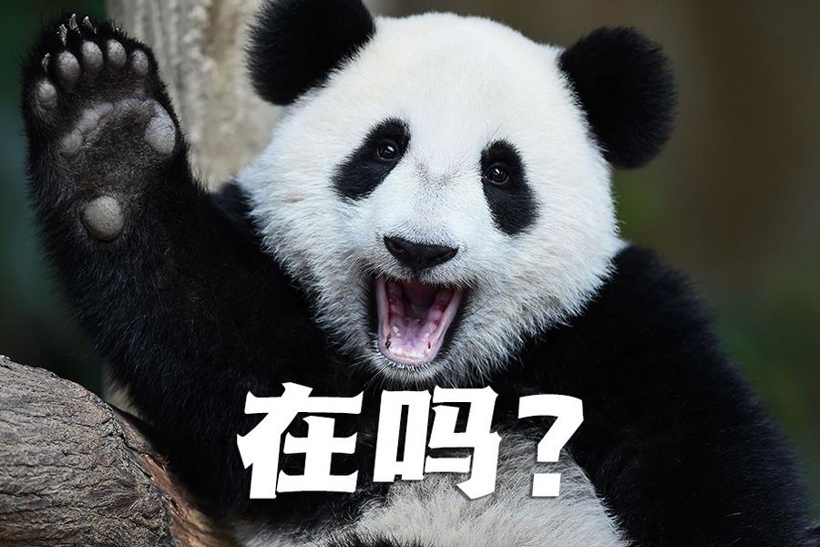 【世界微笑日特刊】嘿嘿，今天你笑了嗎？