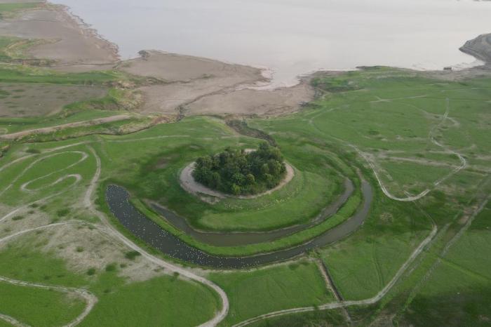 河南黃河三門峽庫區現“生態草原”景觀
