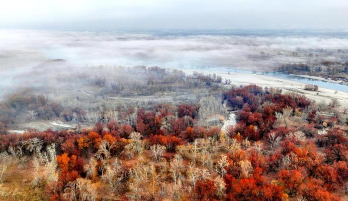 額爾齊斯河新疆北屯段現壯美晨霧景觀