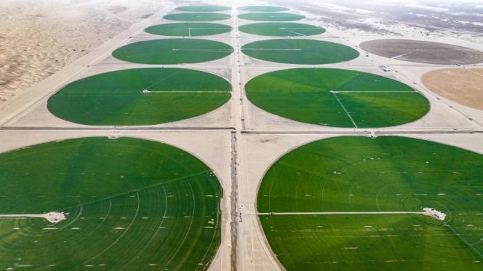 沙地變良田 塔克拉瑪干沙漠邊緣現“綠色圓盤”